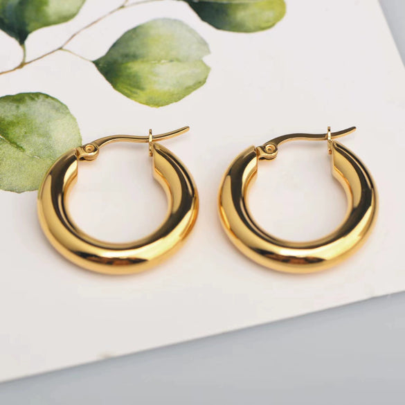 Wholesale Women's Stainless Steel Hoop Earrings Geometric Style Electroplated