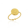 Wholesale Women's Stainless Steel 18K Goldinlaid Fruitshaped Open Ring Light Luxury Geometric Accessories