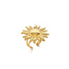 Wholesale Women's Stainless Steel 18K Goldinlaid Fruitshaped Open Ring Light Luxury Geometric Accessories
