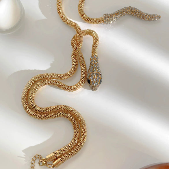Wholesale Women's Stainless Steel Snake Bone Chain Necklace With Animal Pattern And Polished Electroplating