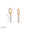 Wholesale Women's Titanium Steel Electroplated Geometric Fashion Light Luxury Earrings