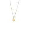 Wholesale Women's Titanium Steel Electroplated Oshaped Chain Clavicle Necklace With Simple Style