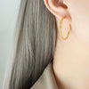 Wholesale Women's Titanium Steel Geometric Cshaped Electroplated Earrings Jewelry