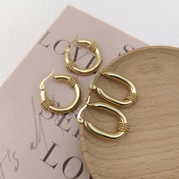 Wholesale Women's Titanium Steel Geometric Earrings Electroplated Light Luxury Antiallergic Nonfading