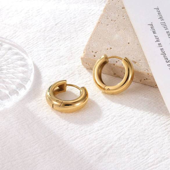 Wholesale Women's Titanium Steel Geometric Hoop Earrings With Electroplating Minimalist Style