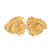 Wholesale Women's Titanium Steel Leaf Shaped Electroplated Earrings