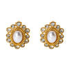 Wholesale Women's Vintage Geometric Flower Stainless Steel 18K Gold Plated Diamondencrusted Imitation Pearl Earrings