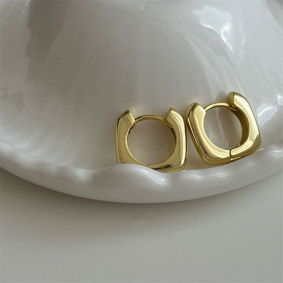 Wholesale Zinc Alloy Geometric Light Luxury Style Electroplated Women's Earrings