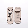 Women'S Cotton Socks Wholesale Cute Cartoon Cat Female Boat Socks Fashion Wild Short Socks