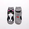 Women'S Cotton Socks Wholesale Cute Cartoon Cat Female Boat Socks Fashion Wild Short Socks