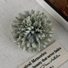 Women'S Casual Simple Style Flower Cloth Hair Clip