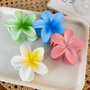 Women'S Hawaiian Vacation Tropical Flower Arylic Hair Claws