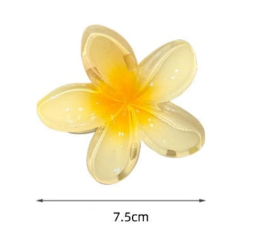 Women'S Simple Style Flower Plastic Resin Hair Claws