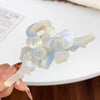 Women's Acetic Acid Twin Flower Hairpin Grab Clip Elegant Simple Style With Polishing Treatment