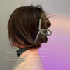 Women's Acrylic Acetate Shark Hair Claw Clip Geometric Fashion Hair Accessory With Injection Molded Finish