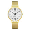 Women's Alloy And Stainless Steel Fashion Printed Round Dial Quartz Watch With Mesh Band