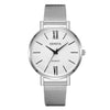 Women's Alloy And Stainless Steel Fashion Printed Round Dial Quartz Watch With Mesh Band