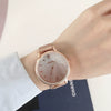 Women's Alloy Case Ordinary Glass Mirror Leisure Style Gipsophila Wristwatch
