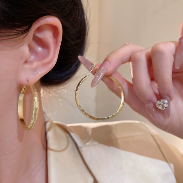 Women's Alloy Geometric Hoop Earrings Electroplated