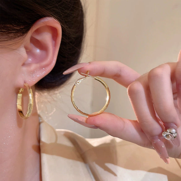 Women's Alloy Geometric Hoop Earrings Electroplated