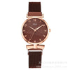 Women's Alloy Iron Milan Band Round Dial Leisure Quartz Watch