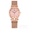 Women's Alloy Iron Milan Band Round Dial Leisure Quartz Watch