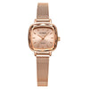 Women's Alloy Shell And Mesh Belt Square Retro Fashion Light Luxury Quartz Watch
