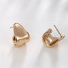 Women's Alloy Smooth Twisted Metal Irregular Electroplated Earrings Light Luxury High End