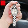 Women's Automatic Movement Watch Steel Case And Strap Round Dial Waterproof Luminous