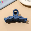 Women's Blue Frosted Plastic Hair Claw Clip Handmade Shark Hairpin Versatile Hair Accessory