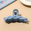 Women's Blue Frosted Plastic Hair Claw Clip Handmade Shark Hairpin Versatile Hair Accessory