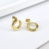 Women's Cobra Snake Shaped Earrings With Silver Needle And Copper Electroplated Animal Style Metal Fashion Earrings