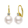 Women's Elegant Geometric Copper Inlaid Zircon Imitation Pearl Earrings