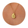 Women's Fashion Brass Geometric Conch And Star Pendant Necklace With Electroplated Clavicle Chain