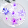 Women's Floral Hairpin Simple Style Paint Design Gripper Classification
