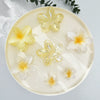 Women's Floral Hairpin Simple Style Paint Design Gripper Classification