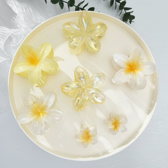 Women's Floral Hairpin Simple Style Paint Design Gripper Classification