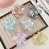 Women's Floral Hairpin Simple Style Paint Design Gripper Classification