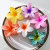 Women's Floral Hairpin Simple Style Paint Design Gripper Classification