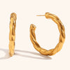 Women's Geometric Hollow Curved Stainless Steel Earrings With Goldplated Finish Fashion Statement Jewelry