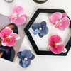 Women's Handmade Cloth Simulated Butterfly Orchid Hair Clip