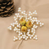 Women's Handmade Freshwater Pearl And Gold Plated Copper Flower Brooch