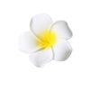 Women's Handmade Plant Flowers Side Clip Hairpin