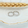 Women's Light Luxury Silver Inlaid Zircon Ushape Earrings