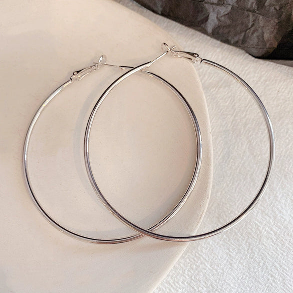 Women's Metal Hoop Earrings 925 Silver Needle Geometric Style Electroplated