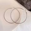 Women's Metal Hoop Earrings 925 Silver Needle Geometric Style Electroplated