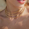 Women's Minimalist Stainless Steel And Titanium Steel Geometric Clavicle Necklace