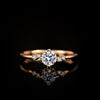 Women's Moissanite Ring Silver Princess Crown Style Plated Champagne Gold