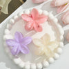 Women's Plastic And Resin Flower Grab Clip Threepiece Set With Baking Paint Highend Style