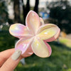Women's Plastic And Resin Hair Clip With Butterfly And Egg Flower Design And Uv Plating
